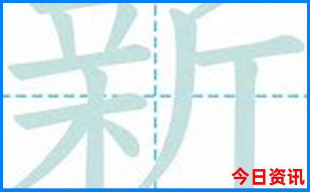 哪个城市美女最多最好看