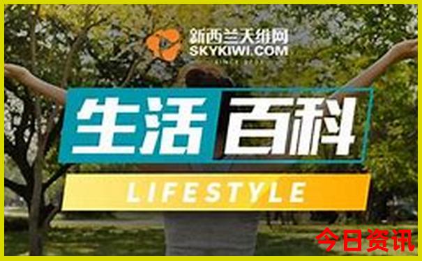 新奥全新内容2025全网首发今晚官方入口查询资料-7777788888管家婆老家